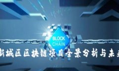 沣西新城区区块链项目全景分析与未来展望